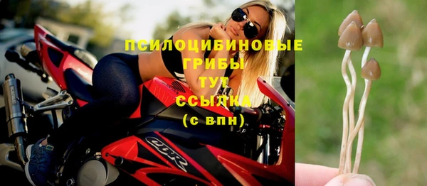 apvp Протвино