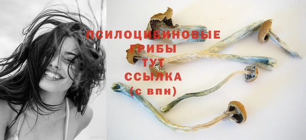 твердый Алексеевка