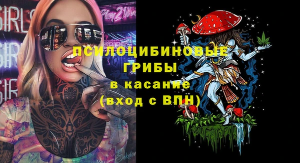 apvp Протвино